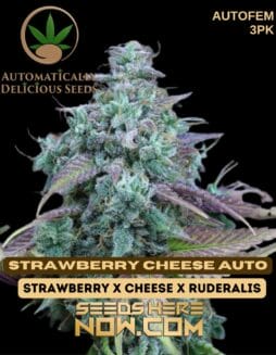 Automatically Delicious - Strawberry Cheese Auto {AUTOFEM} [3pk]Automatically Delicious - Strawberry Cheese Auto {autofem} [3pk]