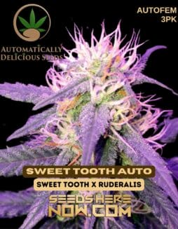 Automatically Delicious - Sweet Tooth Auto {AUTOFEM} [3pk]Automatically Delicious - Sweet Tooth Auto {autofem} [3pk]