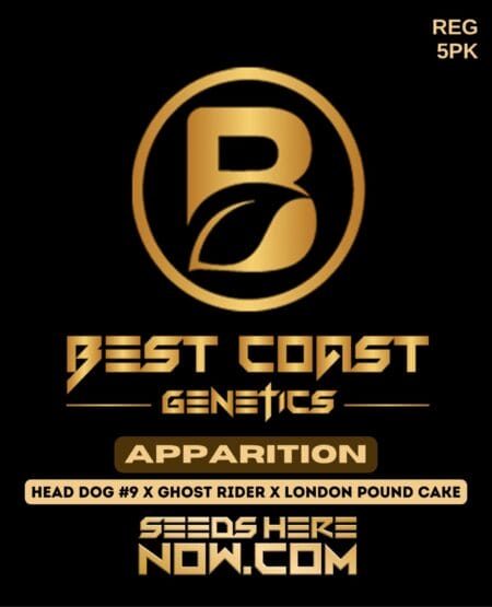 Best Coast Genetics - Apparition {reg} [5pk]