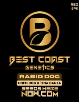 Best Coast Genetics - Rabid Dog {REG} [5pk]Best Coast Genetics - Rabid Dog {reg} [5pk]