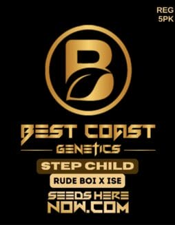 Best Coast Genetics - Step Child {REG} [5pk]Best Coast Genetics - Step Child {reg} [5pk]