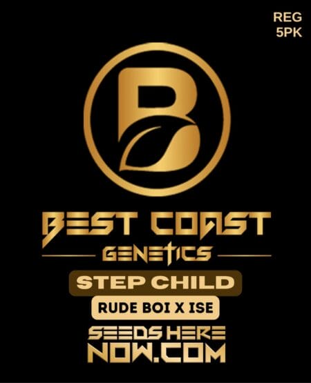 Best Coast Genetics - Step Child {reg} [5pk]