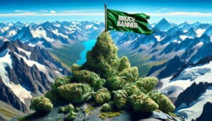 Bruce Banner #3 Strain Review: A Complete Grower's Guide