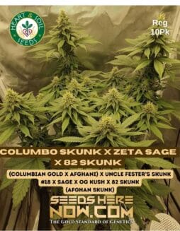 Heart & Soil Seeds - Columbo Skunk x Zeta SAGE x 82 Skunk {REG} [10pk]