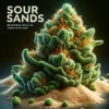 Sour Sands (Regular) (space) Heart & Soil Seeds