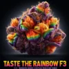 Taste the Rainbow F3 (Regular) (space) Heart & Soil Seeds
