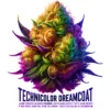Technicolor Dreamcoat (Regular) (space) Heart & Soil Seeds