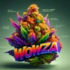 Wowza (regular) - Heart & Soil Seeds