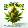 Low Valley Lemonade (regular) - Heart & Soil Seeds