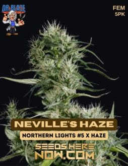 Dr. Blaze - Neville's Haze {FEM} [5pk]Dr. Blaze - Neville's Haze {FEM} [5pk]