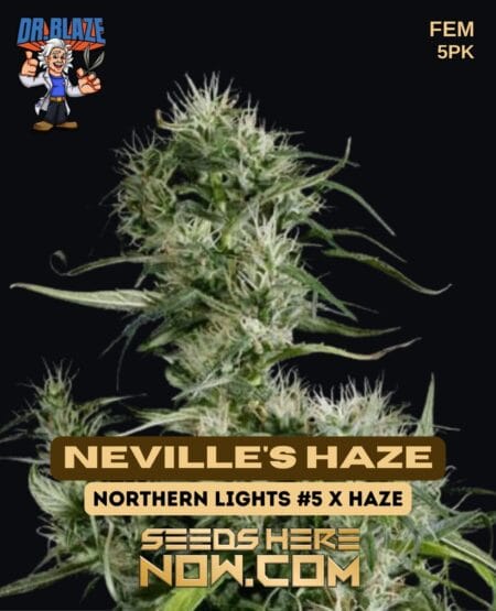 Dr. Blaze - Neville's Haze {fem} [5pk]