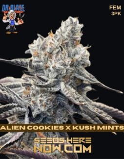 Dr. Blaze - Alien Cookies x Kush Mints {FEM} [3pk]Dr. Blaze - Alien Cookies x Kush Mints {FEM} [3pk]