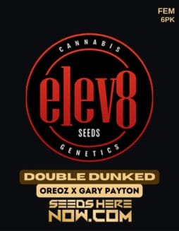 Elev8 Seeds - Double Dunked {FEM} [6pk]Elev8 Seeds - Double Dunked {FEM} [6pk]