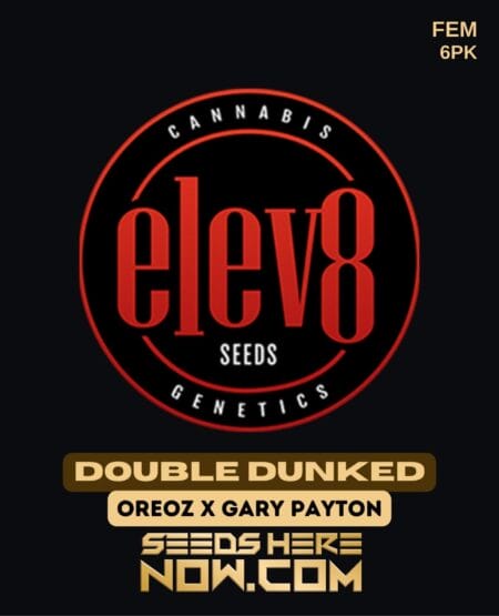 Elev8 Seeds - Double Dunked {fem} [6pk]