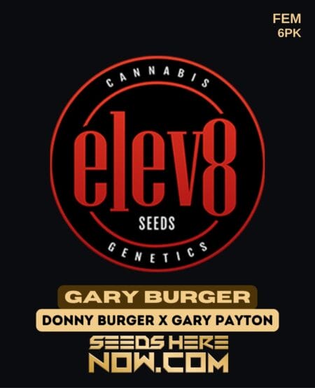 Elev8 Seeds - Gary Burger {fem} [6pk]