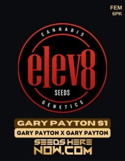 Elev8 Seeds - Gary Payton S1 {FEM} [6pk]Elev8 Seeds - Gary Payton S1 {FEM} [6pk]