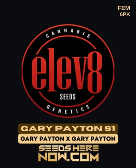 Elev8 Seeds - Gary Payton S1 {fem} [6pk]