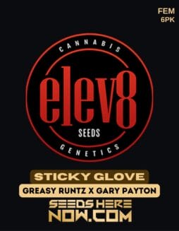 Elev8 Seeds - Sticky Glove {FEM} [6pk]Elev8 Seeds - Sticky Glove {fem} [6pk]