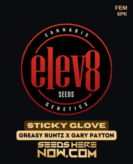 Elev8 Seeds - Sticky Glove {fem} [6pk]