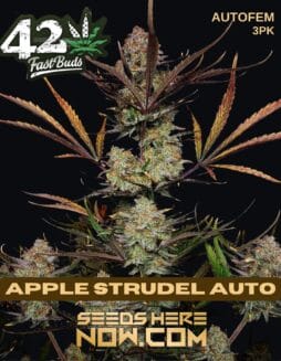 Fast Buds - Apple Strudel Auto {AUTOFEM} [3pk]Fast Buds - Apple Strudel Auto Autofem 3pk