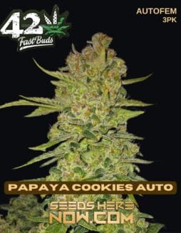 Fast Buds - Papaya Cookies Auto {AUTOFEM} [3pk]Fast Buds - Papaya Cookies Auto {autofem} [3pk]