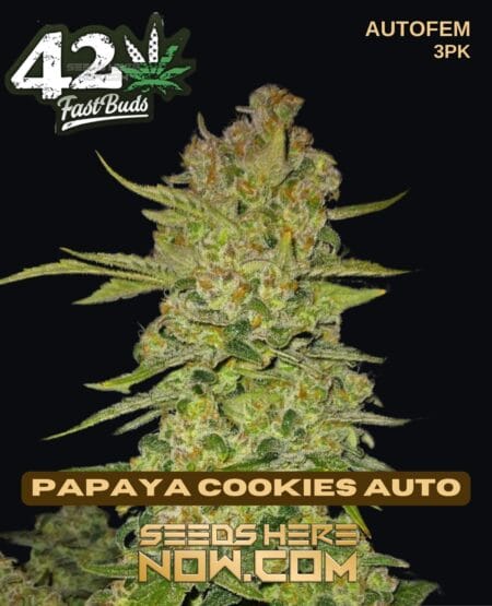 Fast Buds - Papaya Cookies Auto {autofem} [3pk]