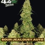 Sour Jealousy (Autoflower) - Fast Buds