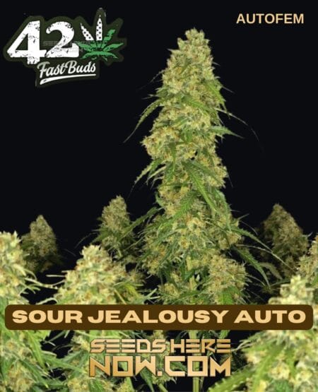 Fast Buds - Sour Jealousy Auto {autofem}