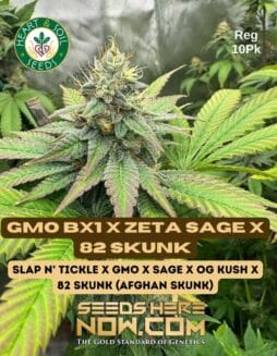 Heart & Soil Seeds - GMO BX1 x Zeta SAGE x 82 Skunk {REG}GMO-BX1-x-Zeta-SAGE-x-82-Skunk