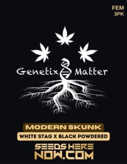 Genetix Matter - Modern Skunk {FEM} [3pk]Genetix Matter - Modern Skunk {fem} [3pk]