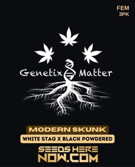 Genetix Matter - Modern Skunk {fem} [3pk]