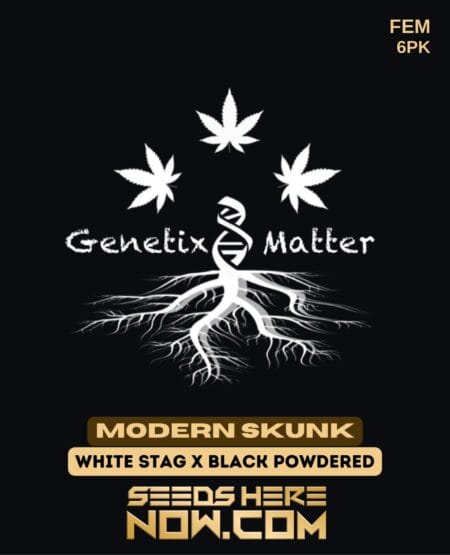 Genetix Matter - Modern Skunk {fem} [6pk]