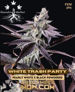 White Trash Party (feminized) - Genetix Matter