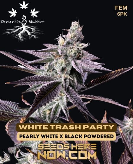 Genetix Matter - White Trash Party {fem} [6pk]