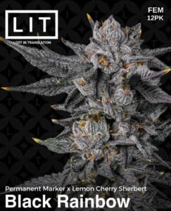 Black Rainbow (feminized) - Lit Farms