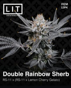 Double Rainbow Sherb (feminized) - Lit Farms