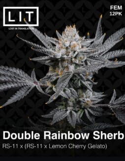LIT Farms - Double Rainbow Sherb {FEM} [12pk]LIT Farms - Double Rainbow Sherb {FEM} [12pk]