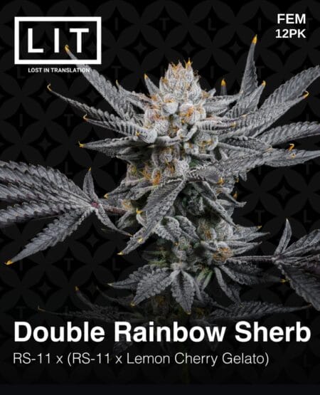 Lit Farms - Double Rainbow Sherb {fem} [12pk]