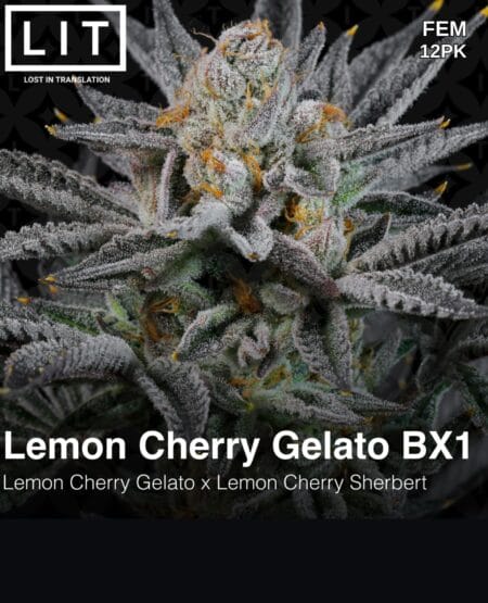Lit Farms - Lemon Cherry Gelato Bx1 {fem} [12pk]