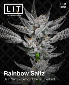 Rainbow Saltz (feminized) - Lit Farms