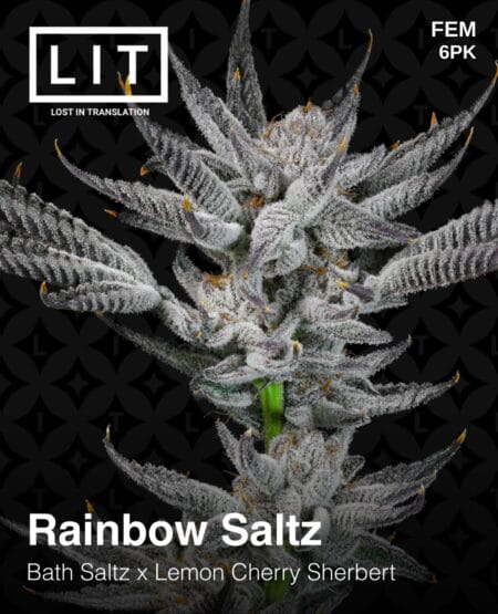 Lit Farms - Rainbow Saltz Fem 6pk