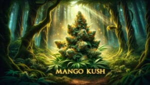Mango Kush Strain Review: A Tropical Delight – Mango Kush Strain Review: A Tropical Delight