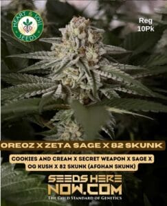 Oreoz X Zeta S.a.g.e. X 82 Skunk (regular) - Heart & Soil Seeds