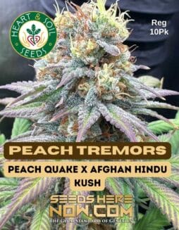 Heart & Soil Seeds - Peach Tremors {REG} [10pk]