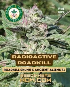 Radioactive Roadkill (regular) - Heart & Soil Seeds