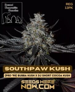 Southpaw Kush (Regular) - Second Generation Genetics