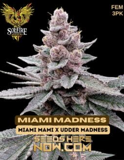 Solfire Gardens - Miami Madness {FEM} [3pk]Solfire Gardens - Miami Madness {FEM} [3pk]