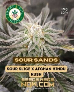 Sour Sands (regular) - Heart & Soil Seeds