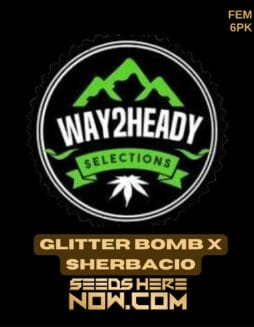 Way2heady Selections - Glitter Bomb x Sherbacio {FEM} [6pk]Way2heady Selections - Glitter Bomb x Sherbacio {FEM} [6pk]