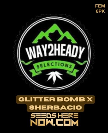Way2heady Selections - Glitter Bomb X Sherbacio {fem} [6pk]